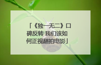 《独一无二》口碑反转 我们该如何正视翻拍电影