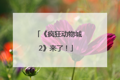 《疯狂动物城2》来了！