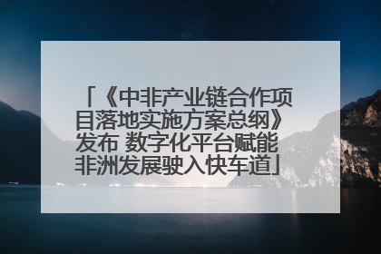 《中非产业链合作项目落地实施方案总纲》发布 数字化平台赋能非洲发展驶入快车道