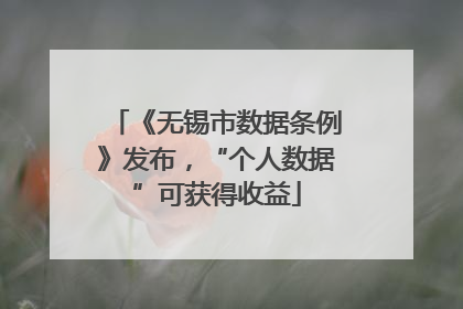 《无锡市数据条例》发布，“个人数据”可获得收益