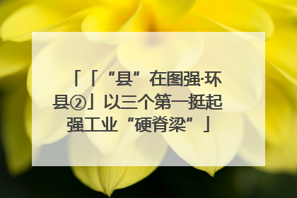 「“县”在图强·环县②」以三个第一挺起强工业“硬脊梁”