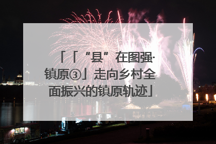 「“县”在图强·镇原③」走向乡村全面振兴的镇原轨迹