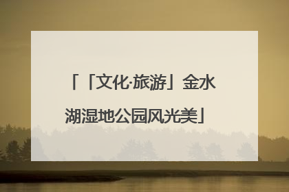 「文化·旅游」金水湖湿地公园风光美