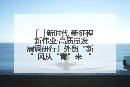 「新时代 新征程 新伟业·高质量发展调研行」外贸“新”风从“青”来 “双向奔赴”启新程
