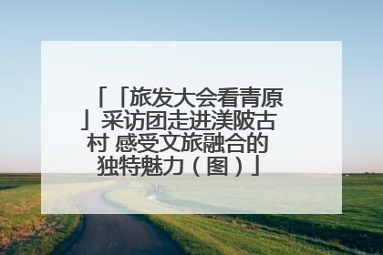 「旅发大会看青原」采访团走进渼陂古村 感受文旅融合的独特魅力（图）