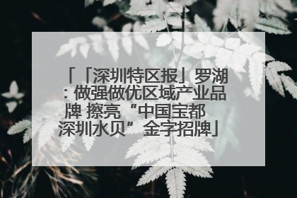 「深圳特区报」罗湖：做强做优区域产业品牌 擦亮“中国宝都 深圳水贝”金字招牌