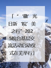 “‘徽’光日新‘皖’美之行”2025皖台基层交流活动启动仪式在芜举行