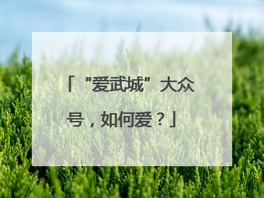 “爱武城”大众号，如何爱？
