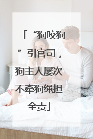 “狗咬狗”引官司，狗主人屡次不牵狗绳担全责