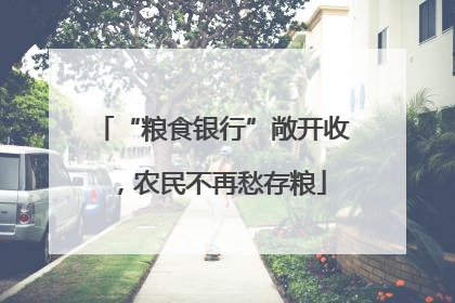 “粮食银行”敞开收，农民不再愁存粮