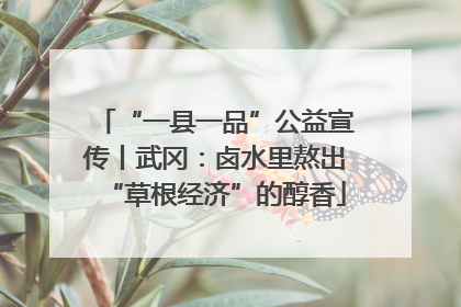 “一县一品”公益宣传丨武冈：卤水里熬出“草根经济”的醇香