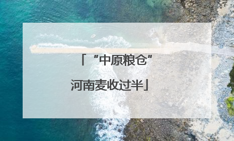 “中原粮仓”河南麦收过半