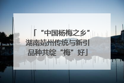 “中国杨梅之乡”湖南靖州传统与新引品种共绽“梅”好