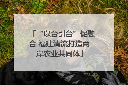 “以台引台”促融合 福建清流打造两岸农业共同体