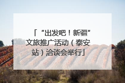 “出发吧！新疆”文旅推广活动（泰安站）洽谈会举行