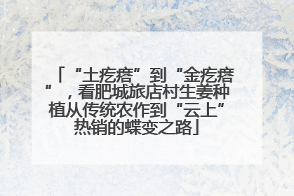 “土疙瘩”到“金疙瘩”，看肥城旅店村生姜种植从传统农作到“云上”热销的蝶变之路