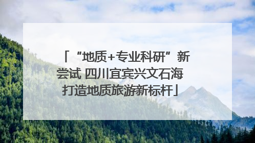 “地质+专业科研”新尝试 四川宜宾兴文石海打造地质旅游新标杆