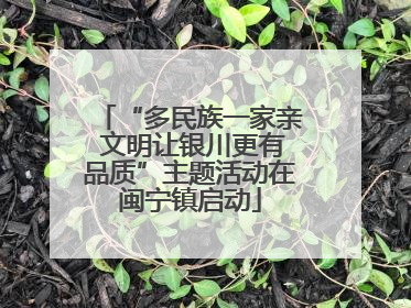“多民族一家亲 文明让银川更有品质”主题活动在闽宁镇启动