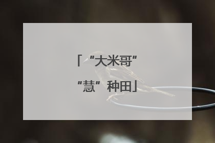 “大米哥”“慧”种田