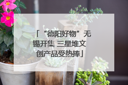 “德阳好物”无锡开集 三星堆文创产品受热捧