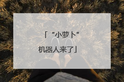 “小萝卜”机器人来了