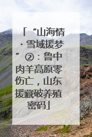 “山海情・雪域援梦”②：鲁中肉羊高原零伤亡，山东援藏破养殖密码
