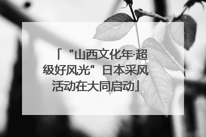 “山西文化年·超级好风光”日本采风活动在大同启动