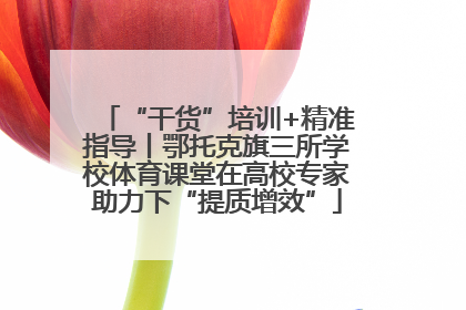 “干货”培训+精准指导丨鄂托克旗三所学校体育课堂在高校专家助力下“提质增效”