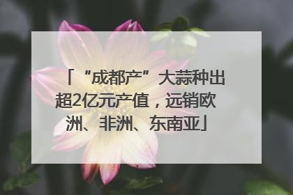 “成都产”大蒜种出超2亿元产值，远销欧洲、非洲、东南亚