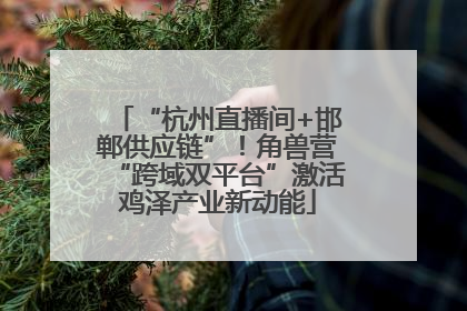 “杭州直播间+邯郸供应链”！角兽营“跨域双平台”激活鸡泽产业新动能