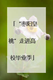 “枣阳皇桃”走进高校毕业季