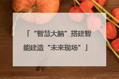 “智慧大脑”搭建智能建造“未来现场”