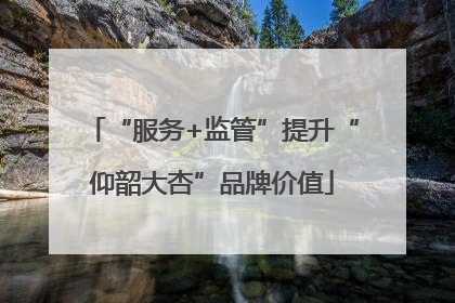“服务+监管”提升“仰韶大杏”品牌价值