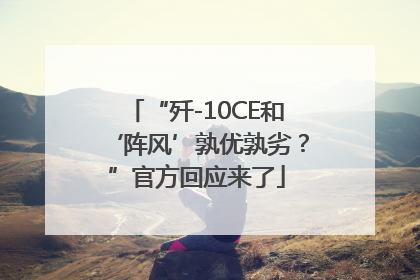 “歼-10CE和‘阵风’孰优孰劣？”官方回应来了