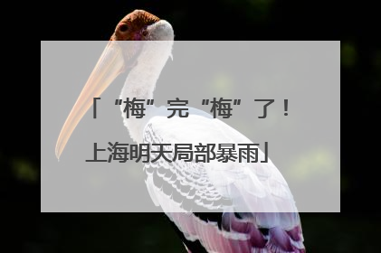 “梅”完“梅”了！上海明天局部暴雨