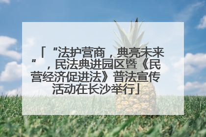 “法护营商，典亮未来”，民法典进园区暨《民营经济促进法》普法宣传活动在长沙举行