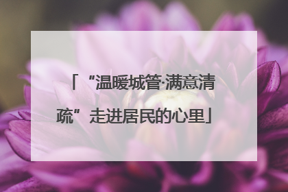 “温暖城管·满意清疏”走进居民的心里