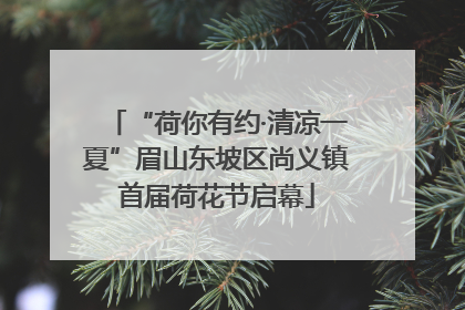 “荷你有约·清凉一夏”眉山东坡区尚义镇首届荷花节启幕
