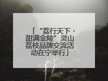 “荔行天下・甜满金陵”灵山荔枝品牌交流活动在宁举行