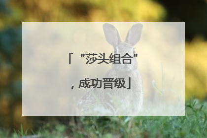 “莎头组合”，成功晋级