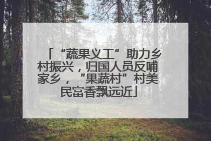 “蔬果义工”助力乡村振兴，归国人员反哺家乡，“果蔬村”村美民富香飘远近