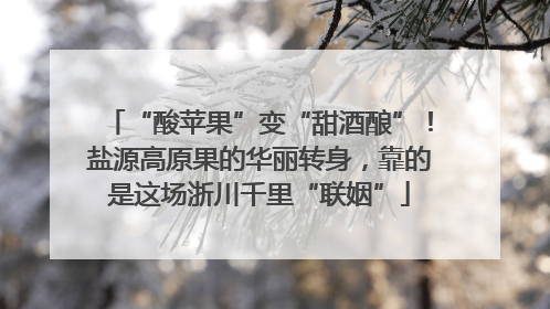 “酸苹果”变“甜酒酿”！盐源高原果的华丽转身，靠的是这场浙川千里“联姻”