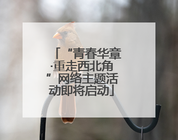 “青春华章·重走西北角”网络主题活动即将启动