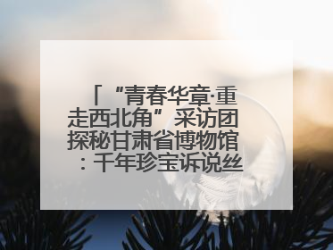“青春华章·重走西北角”采访团探秘甘肃省博物馆：千年珍宝诉说丝路辉煌