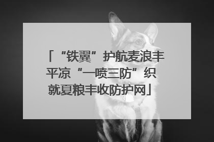 “铁翼”护航麦浪丰 平凉“一喷三防”织就夏粮丰收防护网
