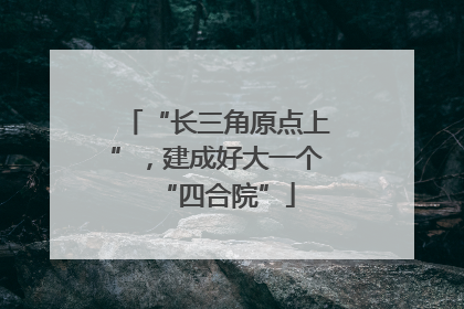 “长三角原点上”，建成好大一个“四合院”