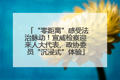 “零距离”感受法治脉动！宣威检察迎来人大代表、政协委员“沉浸式”体验