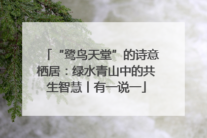 “鹭鸟天堂”的诗意栖居：绿水青山中的共生智慧丨有一说一