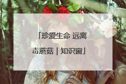 珍爱生命 远离毒蘑菇｜知识窗