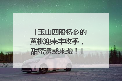 玉山四股桥乡的黄桃迎来丰收季，甜蜜诱惑来袭！